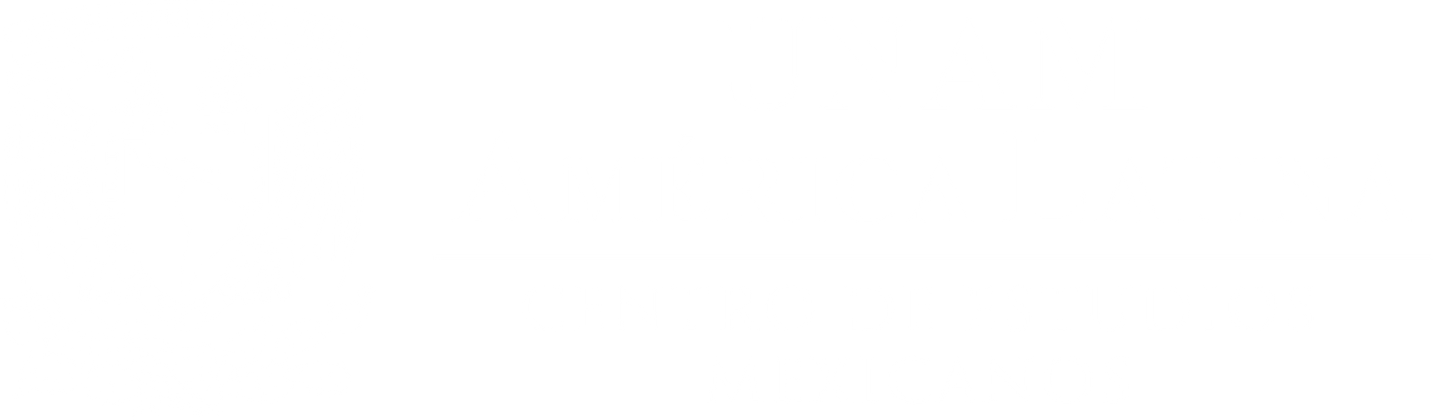 UNAM América Latina